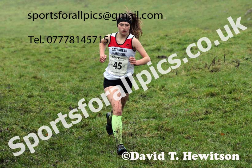 Girls under-15s, NECAA Junior Cross Country Relays, Thornley Farm, Peterlee, Saturday, December 12th. Photo: David T. Hewitson/Sports for All Pics